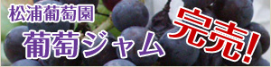 松浦葡萄園の葡萄ジャム